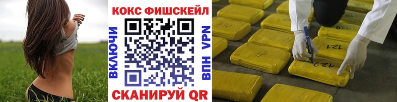 Где купить наркотики Эртиль Гашиш  Псилоцибиновые грибы  Кодеин  Меф  Кокаин  А ПВП 