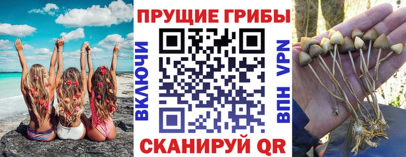 МЕГА вход  Эртиль  Галлюциногенные грибы прущие грибы 